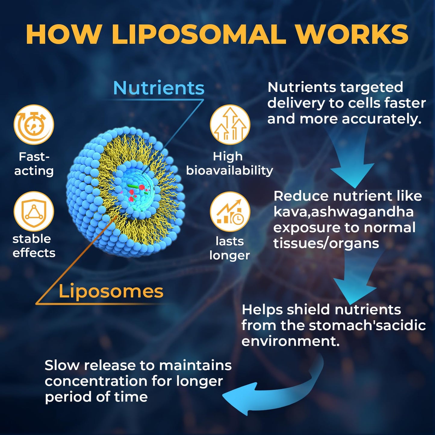 Samarogen Kava Kava Capsules — Liposome 55% Kavalactones with Ashwagandha & Sleep Support (120 Softgels)