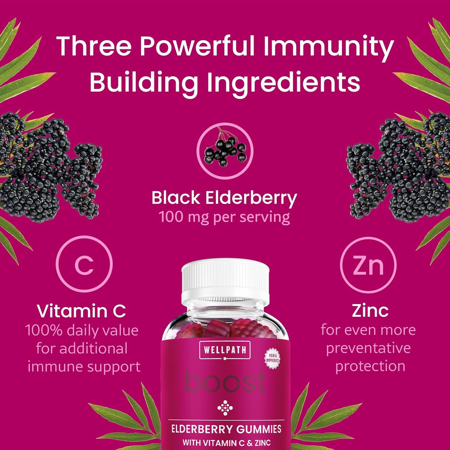 WellPath Boost Elderberry Gummies with Zinc & Vitamin C | Immune Support for Adults | 60 Ct