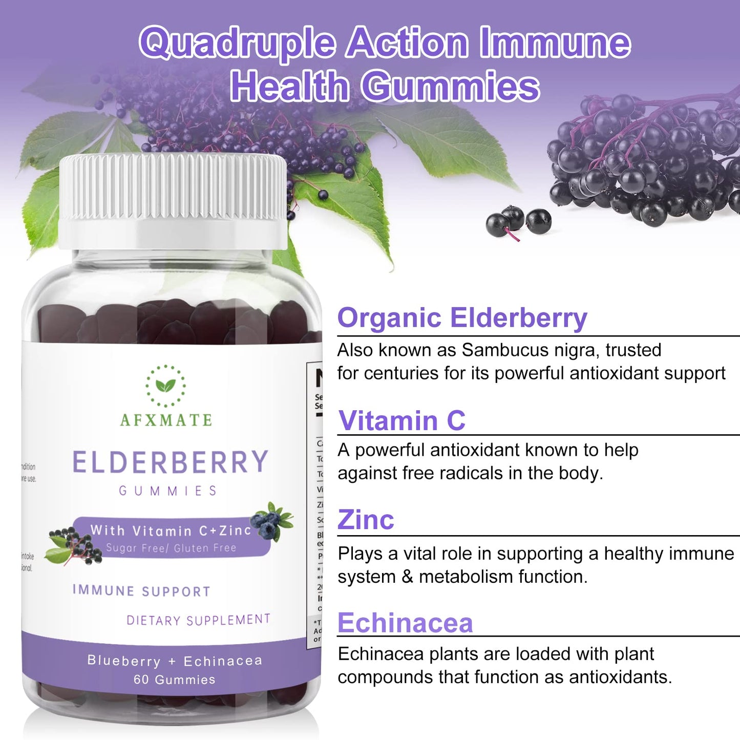 Sambucus Elderberry Gummies with Zinc & Vitamin C – Sugar Free Immune Support (2-Pack)