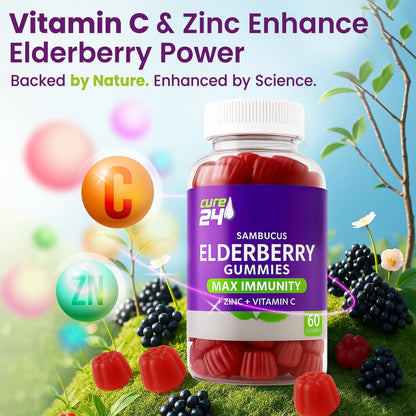 Sambucus Elderberry Gummies with Vitamin C & Zinc for Kids & Adults - 60 Gummies | Vegan, Non-GMO, Made in USA