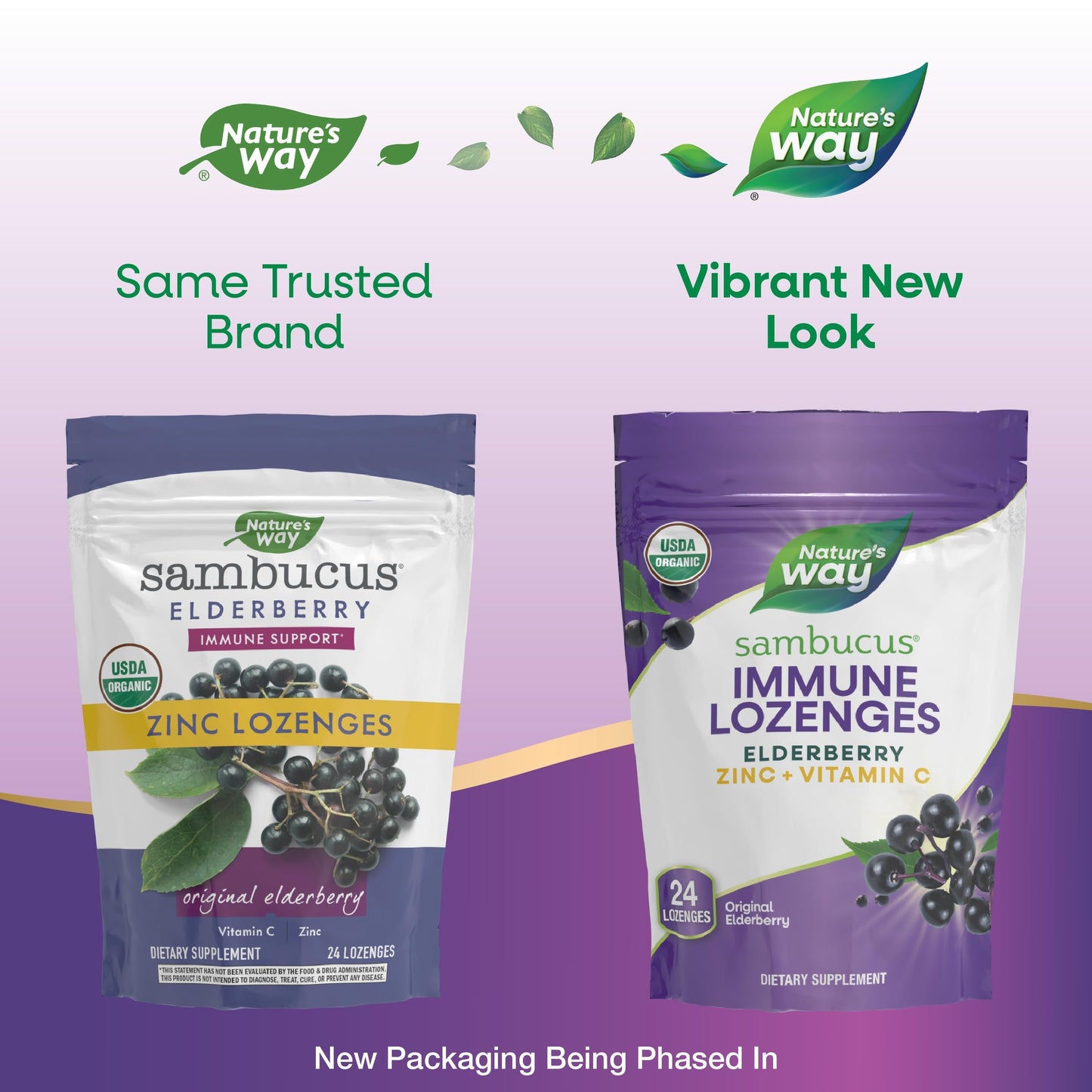 Nature's Way Sambucus Immune Lozenges – On-the-Go Immunity, Zinc & Vitamin C | Vegan & Gluten-Free | 24 Count