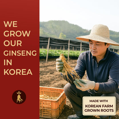 SAMSIDAE Korean Panax Red Ginseng Instant Tea – 50 Sachets | Boost Circulation, Memory & Energy