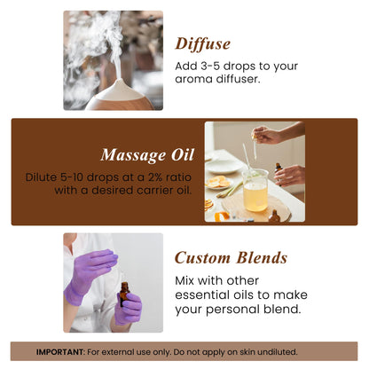 Handcraft Blends Sandalwood Essential Oil – 1 Fl Oz | 100% Pure & Natural, Premium Grade