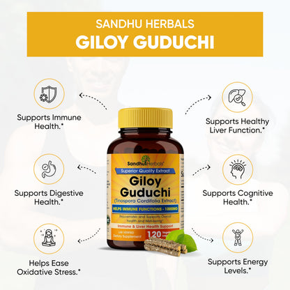 SANDHUHERBALS Organic Giloy (Guduchi) Powder – 120 Vegetarian Capsules | Immune Support & Digestion | Made in USA