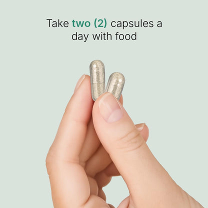 Santo Remedio Nopal Chia – Prickly Pear & Chia Powder, 120 Capsules