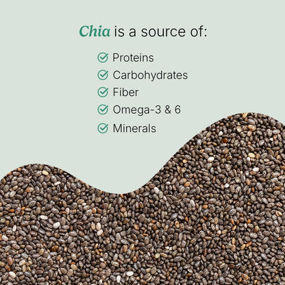 Santo Remedio Nopal Chia – Prickly Pear & Chia Powder, 120 Capsules
