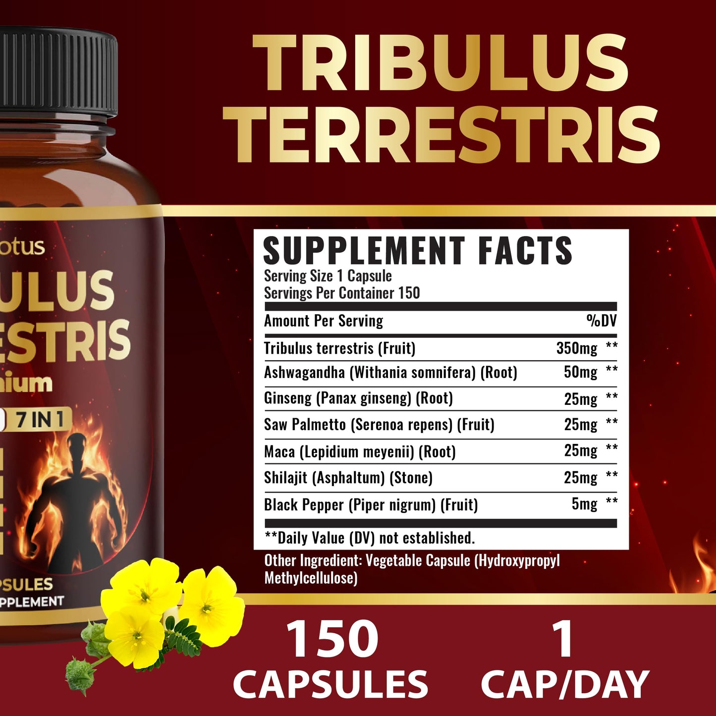 Tribulus Terrestris Supplement for Men & Women - 150 Capsules (5-Month Supply)