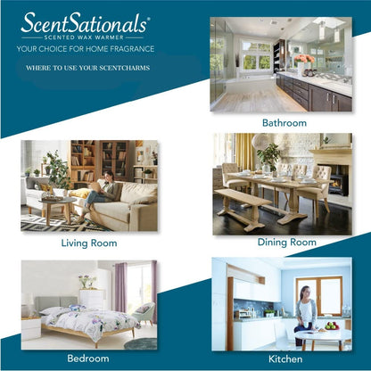 ScentSationals Scent Charm Plug-in Essential Oil Diffuser – Concord | Wall Plug Diffuser for Living Room or Bedroom