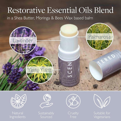 Scentered Sleep Well Balm – Aromatherapy Sleepstick with Lavender & Chamomile