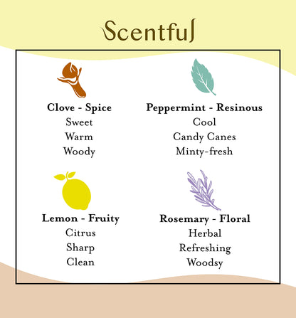 Scentful Smell Training Kit – Smell Retraining Therapy | Restore Sense of Smell and Taste | Made in USA with 4 Organic Essential Oils