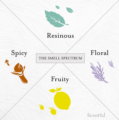 Scentful Smell Training Kit – Smell Retraining Therapy | Restore Sense of Smell and Taste | Made in USA with 4 Organic Essential Oils