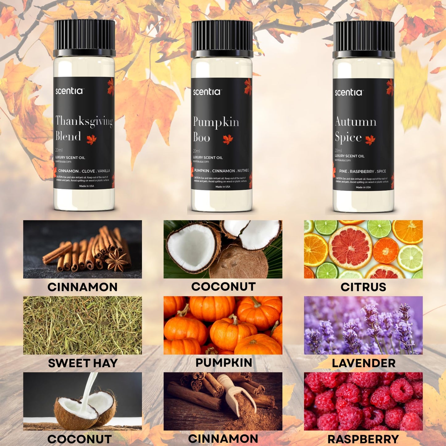 Scentia Fall Essential Oils Set – Autumn Spice, Thanksgiving Blend & Pumpkin Boo (20ml) for Diffuser, Candles & DIY | Perfect Fall Gift
