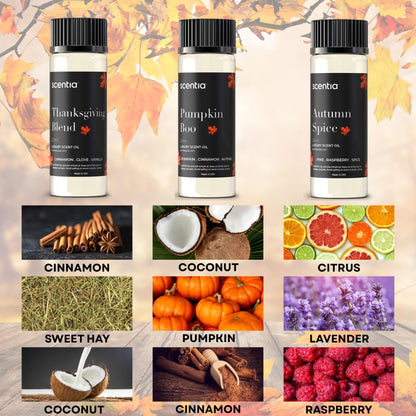 Scentia Fall Essential Oils Set – Autumn Spice, Thanksgiving Blend & Pumpkin Boo (20ml) for Diffuser, Candles & DIY | Perfect Fall Gift