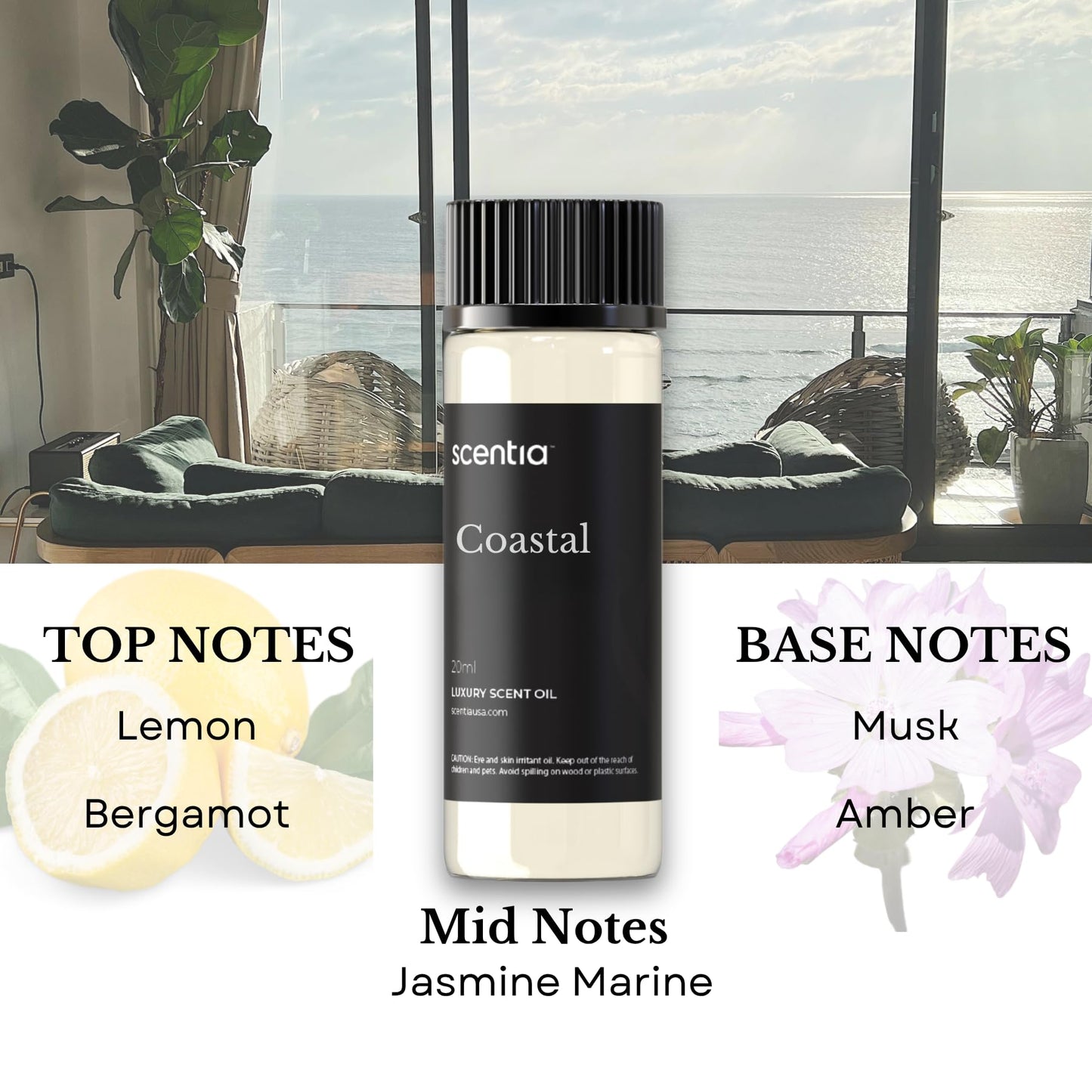 Scentia Hotel Diffuser Oil Gift Set – 3x20ml, Inspired by 1 Hotel Miami & W Hotels