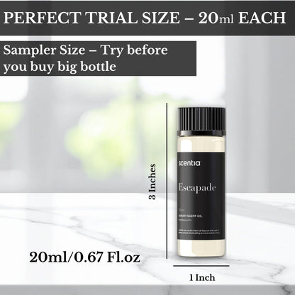Scentia Hotel Inspired Diffuser Oils – 3×20ml Aromatherapy Set | Luxury Hotel Scents