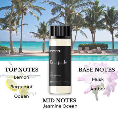 Scentia Hotel Inspired Diffuser Oils – 3×20ml Aromatherapy Set | Luxury Hotel Scents