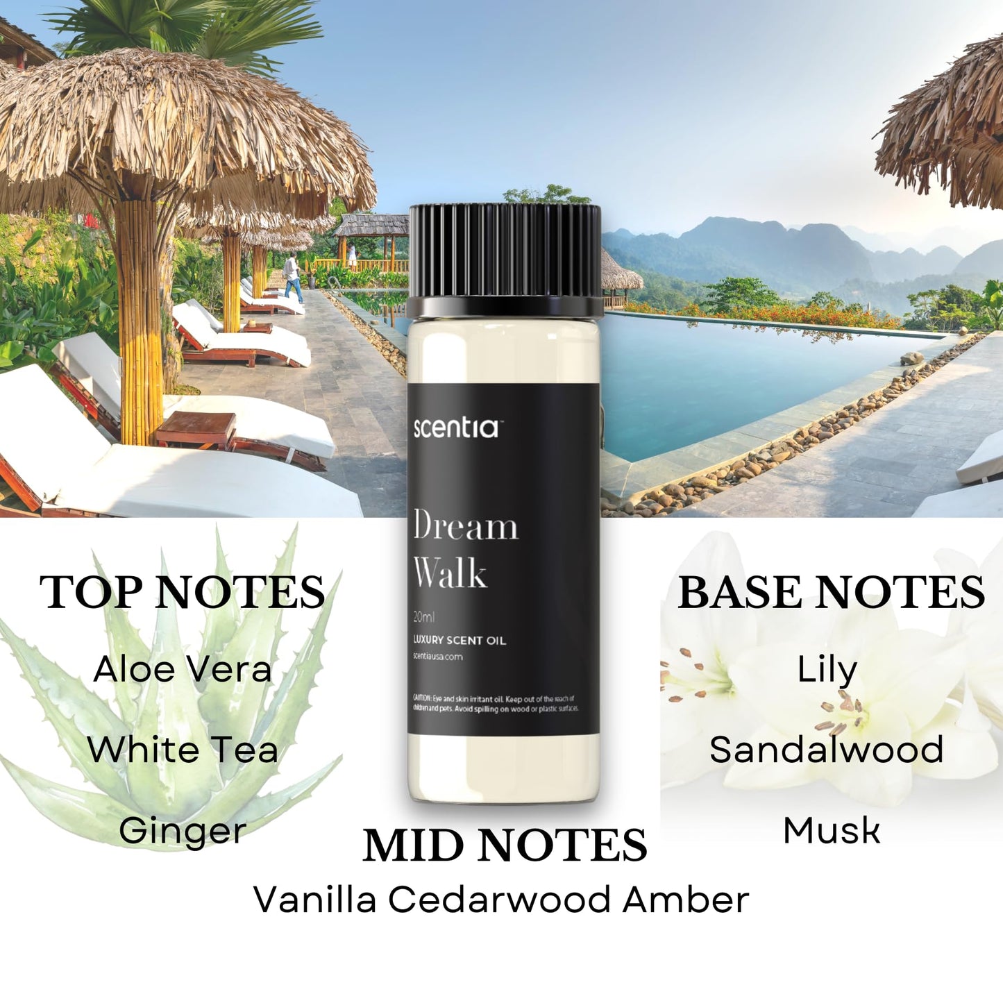 Scentia Hotel Inspired Diffuser Oils – 3×20ml Aromatherapy Set | Luxury Hotel Scents