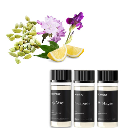 Scentia My Way Hotel Diffuser Oil – 3x50ml Gift Set Inspired by 5-Star Hotels