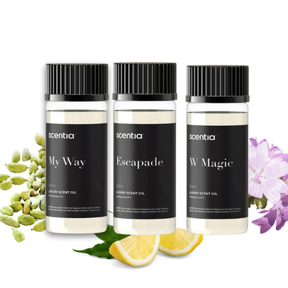 Scentia My Way Hotel Diffuser Oil – 3x50ml Gift Set Inspired by 5-Star Hotels