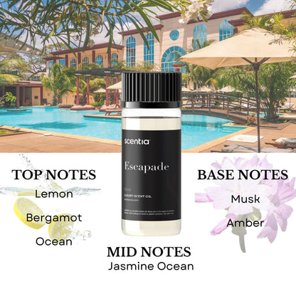 Scentia My Way Hotel Diffuser Oil – 3x50ml Gift Set Inspired by 5-Star Hotels