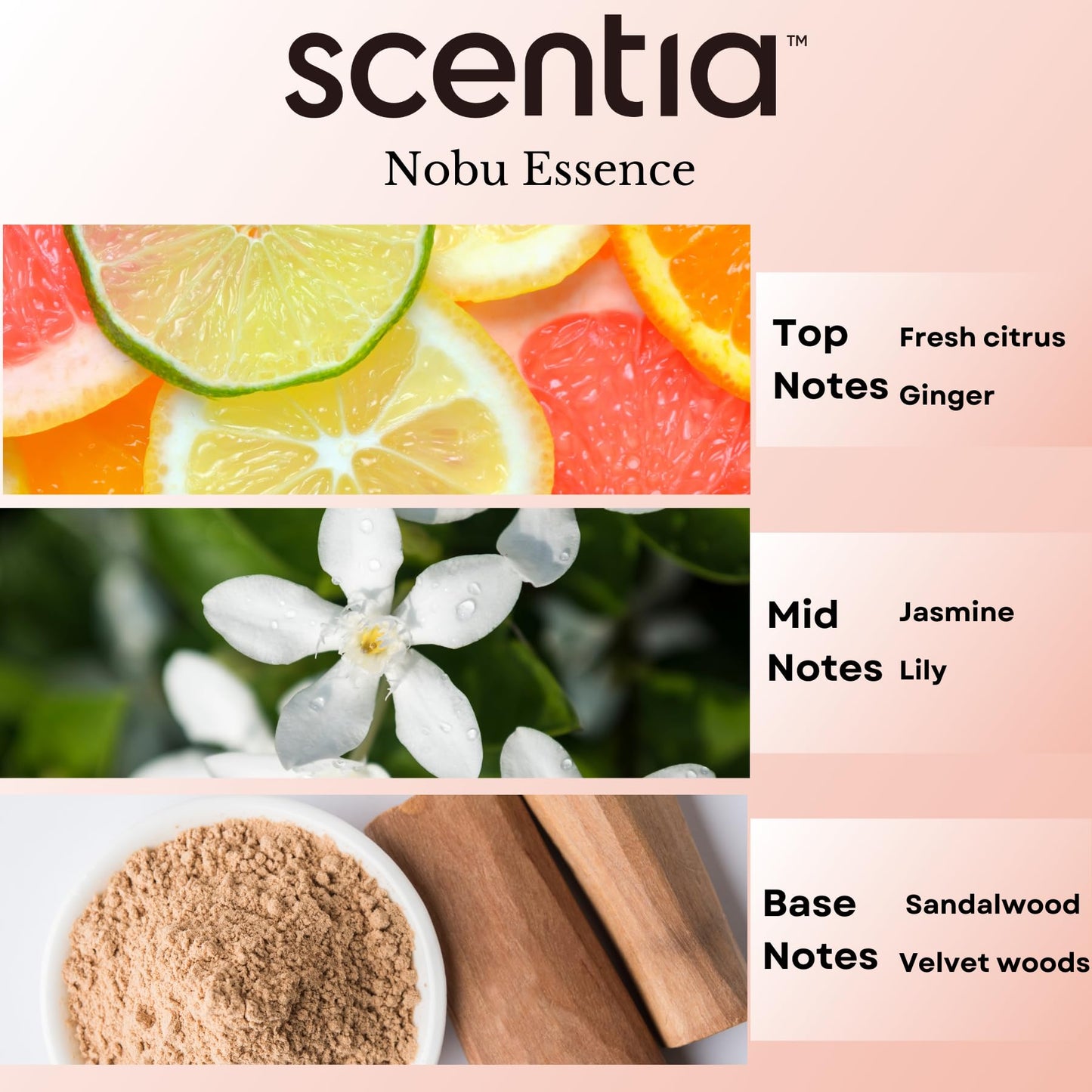 Scentia Nobu-Inspired Hotel Diffuser Oil – 20ml Aromatherapy Gift