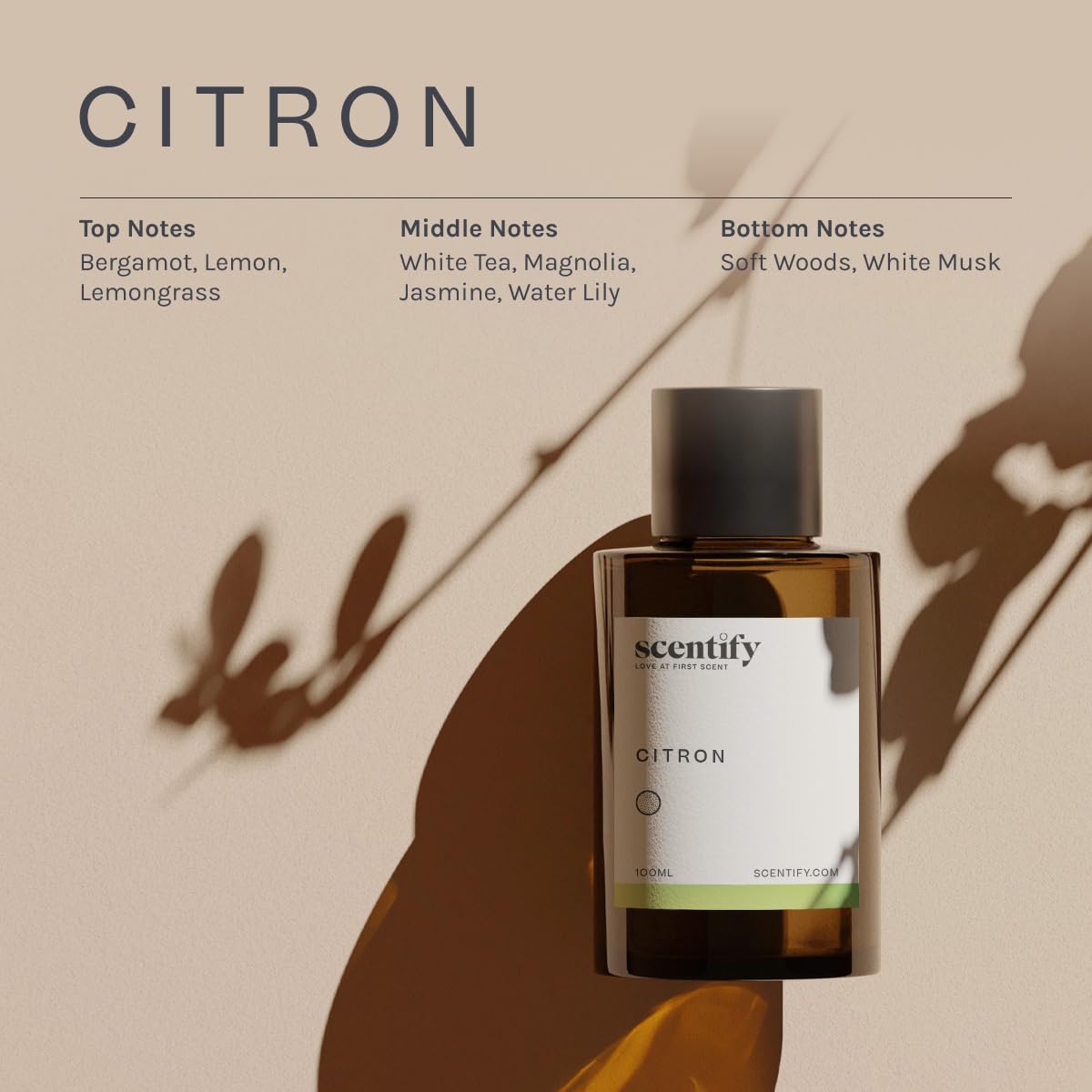 Scentify Citron Aroma Oil Refill for Diffusers – Lemon, Jasmine, Musk & Woods (100ml)