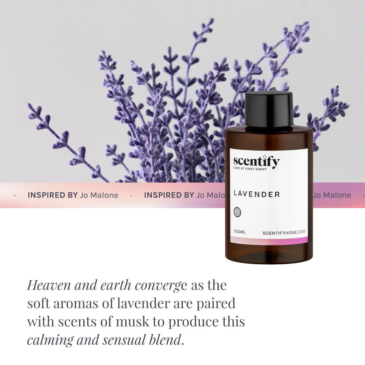Scentify Lavender Musk Aroma Oil Refill for Diffusers - 100ml (3.38 oz) | Bergamot, Vanilla, Cedarwood