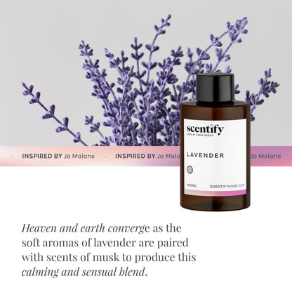 Scentify Lavender Musk Aroma Oil Refill for Diffusers - 100ml (3.38 oz) | Bergamot, Vanilla, Cedarwood