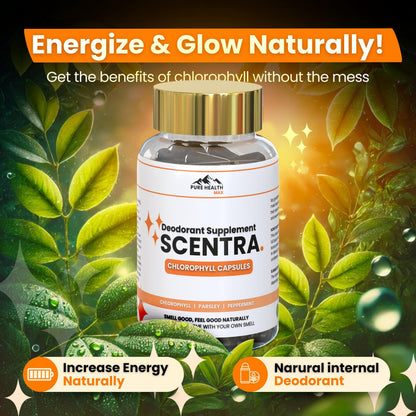 Scentra Deodorizing Supplement | Chlorophyll Capsules for Women & Men | 60 Tablets