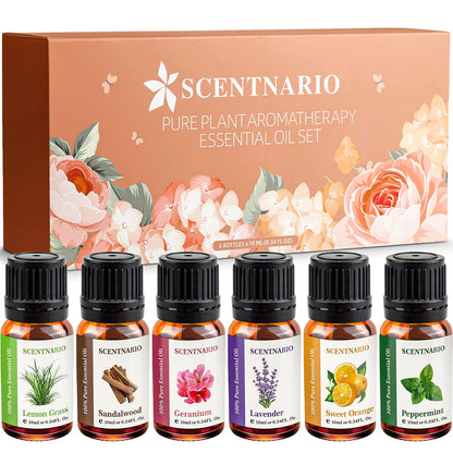 SCENTNARIO Essential Oils Set — 6 x 10ml Pure & Natural Gift Set