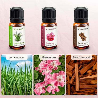 SCENTNARIO Essential Oils Set — 6 x 10ml Pure & Natural Gift Set