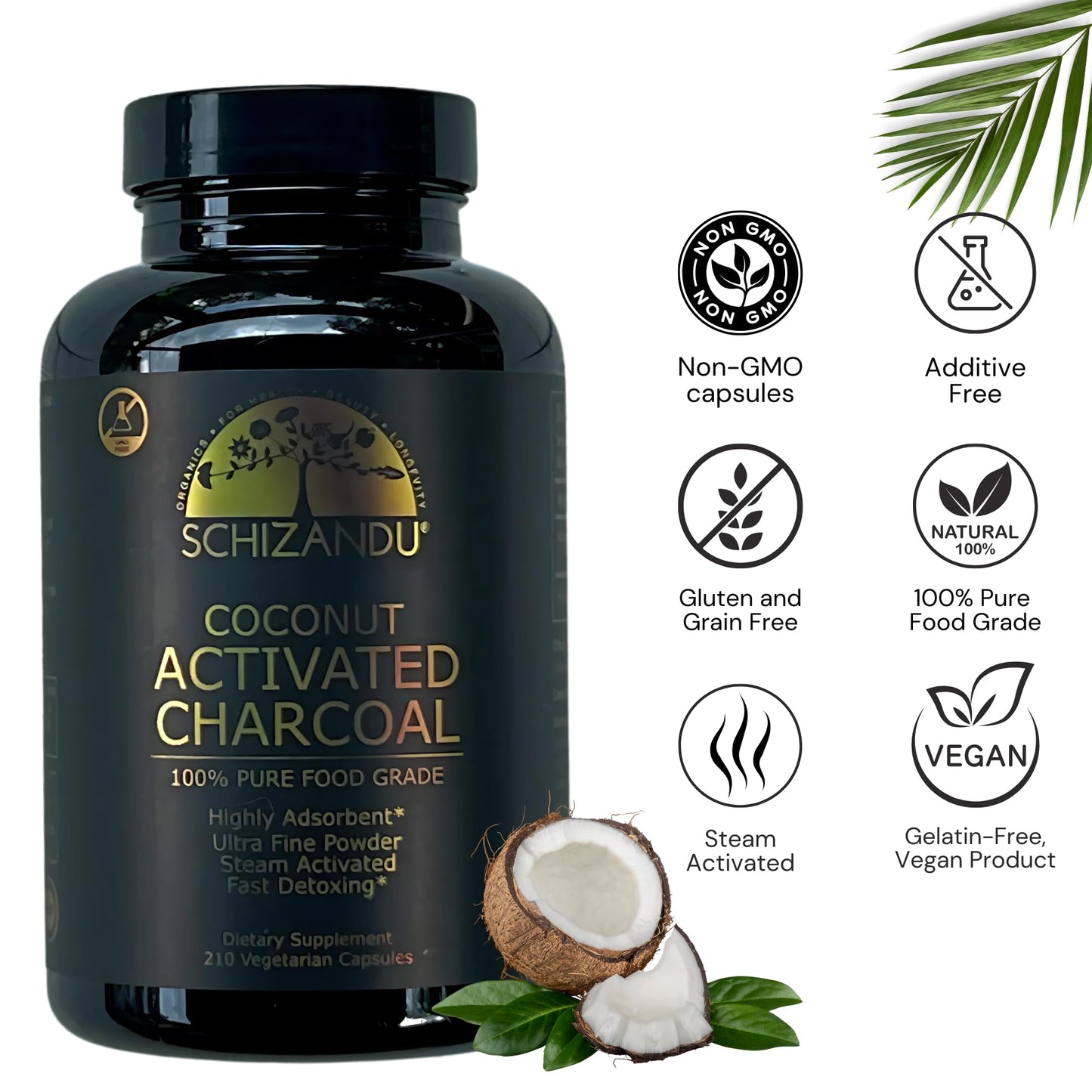 Schizandu Activated Coconut Charcoal Capsules - Vegan, Organic, Non-GMO, 210 Count | X-Large Bottle