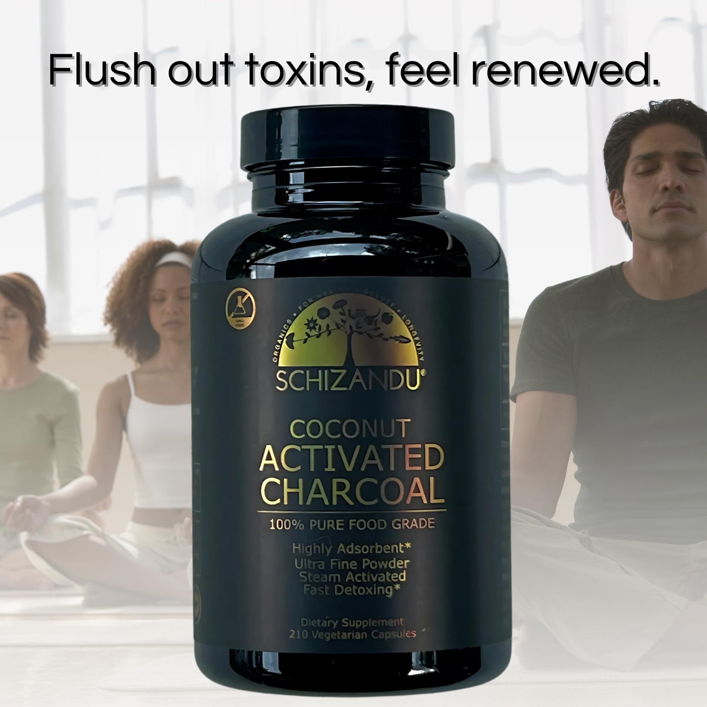 Schizandu Activated Coconut Charcoal Capsules - Vegan, Organic, Non-GMO, 210 Count | X-Large Bottle