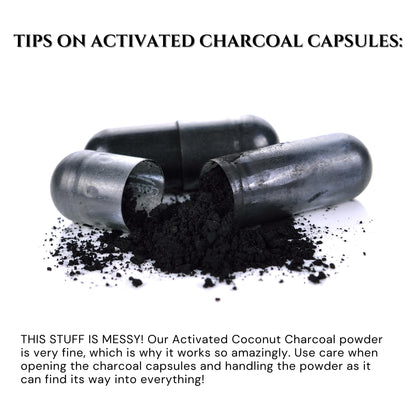 Schizandu Activated Coconut Charcoal Capsules - Vegan, Organic, Non-GMO, 210 Count | X-Large Bottle