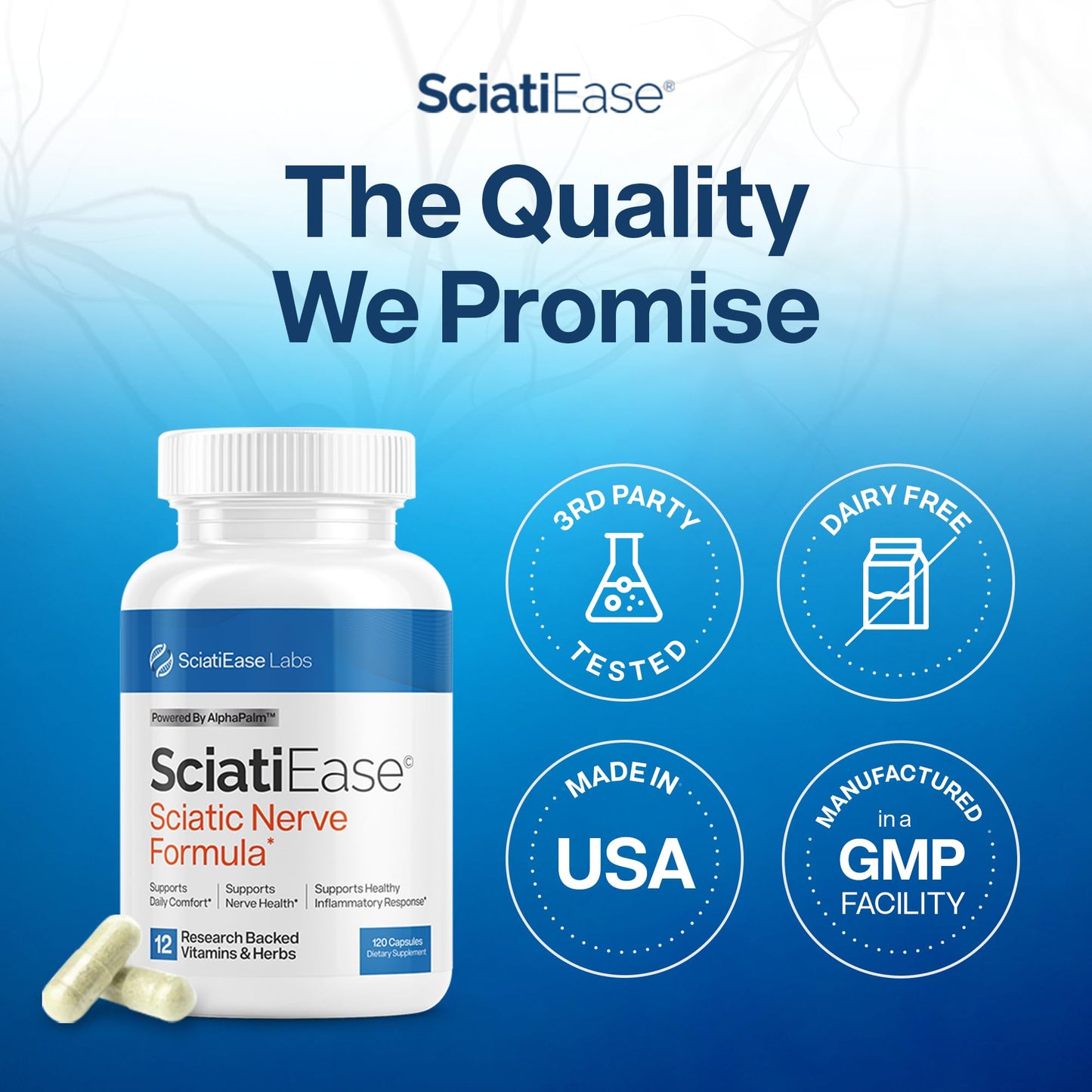 SciatiEase Sciatic Nerve Support – AlphaPalm, PEA & B-Complex, 120 Capsules
