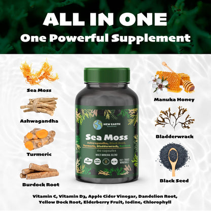 Sea Moss All-in-One Capsules with Black Seed, Turmeric & Ashwagandha