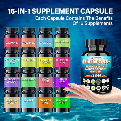 Sea Moss Capsules 60 Count – All-in-1 with Black Seed Oil, Ashwagandha, Turmeric, Bladderwrack & Burdock