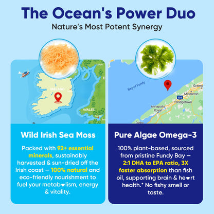 2 Pack Sea Moss Gummies + Algae Omega-3 – Sugar-Free, 15-in-1 Vegan Irish Sea Moss