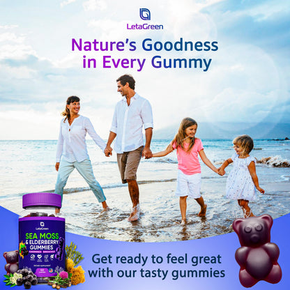 LetaGreen Irish Sea Moss Gummies – Multimineral with Bladderwrack & Elderberry (60 Vegan Gummies)