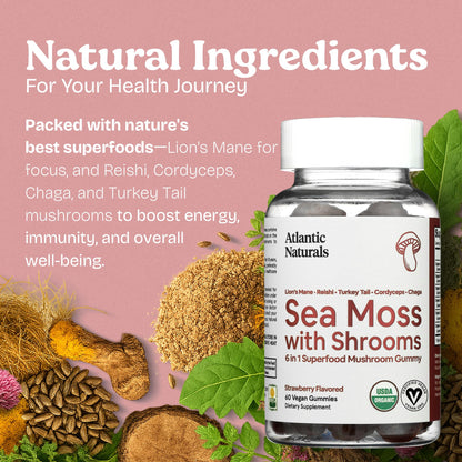 Sea Moss Gummies with Lions Mane Mushroom – 60 Count | 6-in-1 Sea Moss & Mushroom Complex