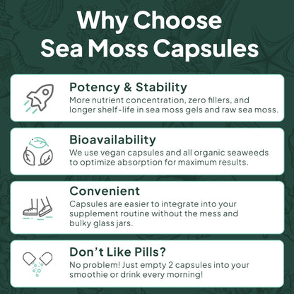 Organics Ocean Wild Sea Moss Capsules – 60 Capsules | Organic Irish Sea Moss, Bladderwrack, Chlorella & Vitamin D3