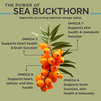 SEABUCKWONDERS Organic Sea Buckthorn Oil Softgels 1000mg – Omega 7, 3, 6 & 9 | Hair, Skin & Nails