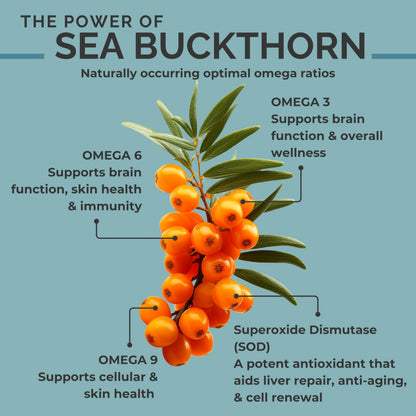 SeabuckWonders Sea Buckthorn Seed Oil – 100% Certified Organic – 1 FL OZ