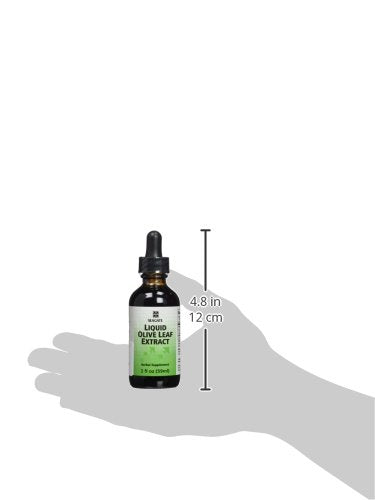 Seagate Olive Leaf Extract Liquid - 250 mg/ml, No Alcohol, Raspberry-Spearmint Flavor