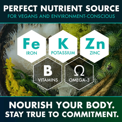 Secret Element Sea Moss Capsules – Irish Sea Moss Advanced with Burdock Root, Bladderwrack & Muira Puama – 120 Capsules (3 Pack) BritishVita | Premium UK Vitamins & Wellness Supplements