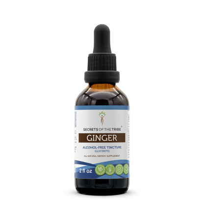 Secrets of the Tribe Ginger Tincture – Alcohol-Free Extract, 2 oz