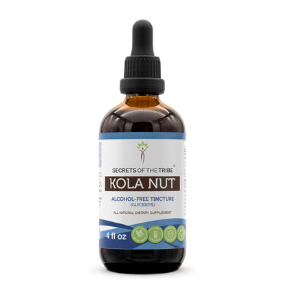 Secrets of the Tribe Kola Nut Tincture Alcohol-Free Extract (4 oz) - Cola Acuminate