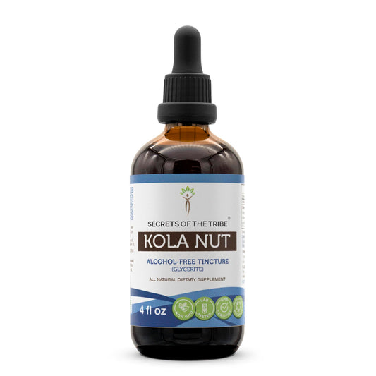 Secrets of the Tribe Kola Nut Tincture Alcohol-Free Extract (4 oz) - Cola Acuminate BritishVita | Premium UK Vitamins & Wellness Supplements