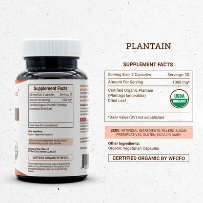 Secrets of Tribe Plantain Capsules | USDA Organic Plantago lanceolata