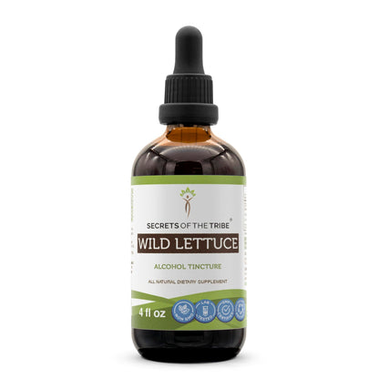 Wild Lettuce Tincture (Lactuca virosa) – High-Potency Herbal Drops, 4 oz | Secrets of the Tribe